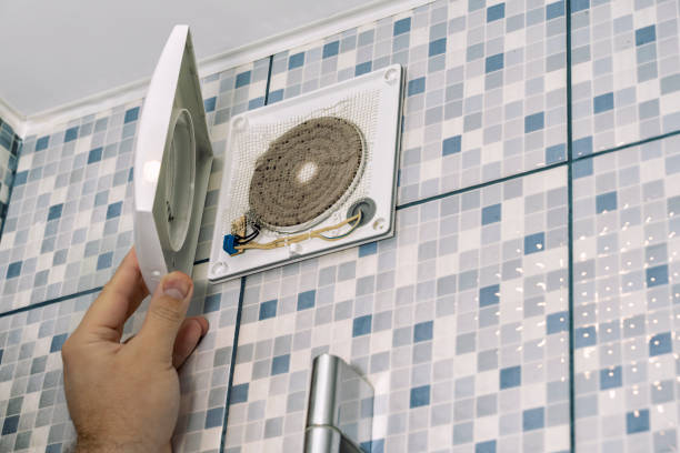 Best Air Duct Mold Removal  in Nicholls, GA
