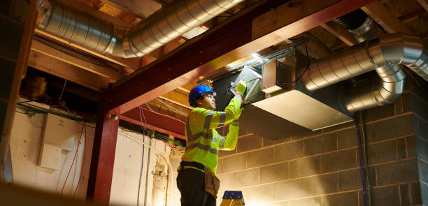 Best Ductwork Cleaning Services  in Nicholls, GA