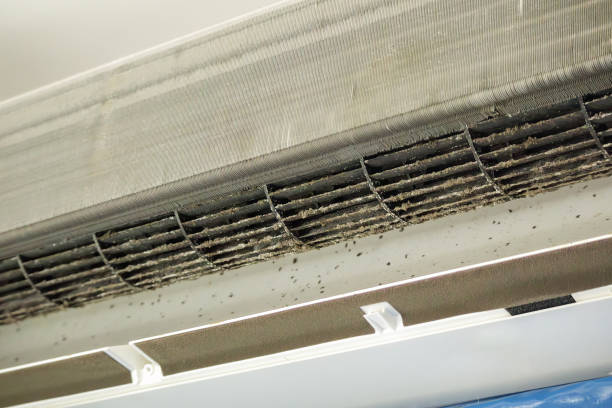Best Residential Air Duct Cleaning  in Nicholls, GA