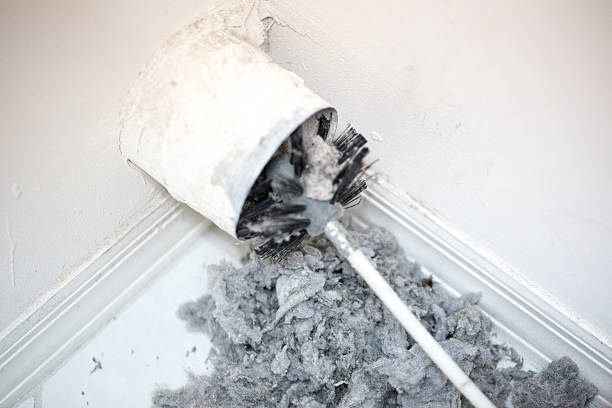 Best HVAC System Cleaning  in Nicholls, GA